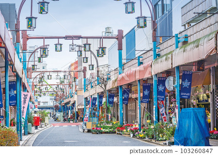 Wisteria first street 103260847