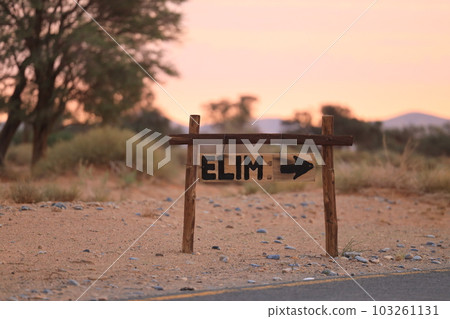 [Namibia] Namib Desert - Elim Dunes 103261131