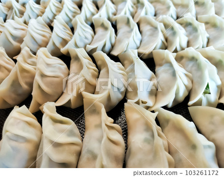 A large amount of handmade gyoza (raw gyoza) 103261172