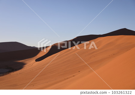 [Namibia] Namib Desert - Sossusvlei 103261322