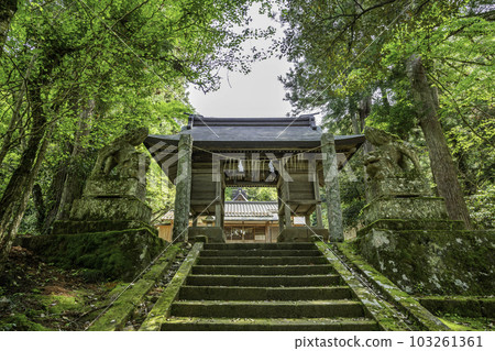Yakumo Shitabi Shrine Zuishinmon Gate Matsue City, Shimane Prefecture 103261361