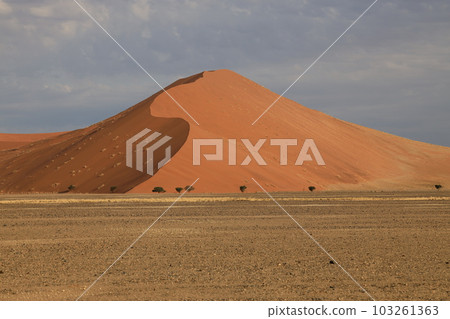 【納米比亞】納米布沙漠 103261363