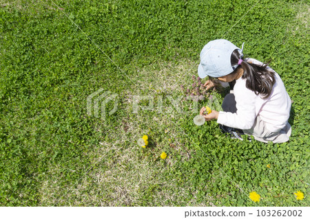 公園裡採蒲公英的女孩 103262002