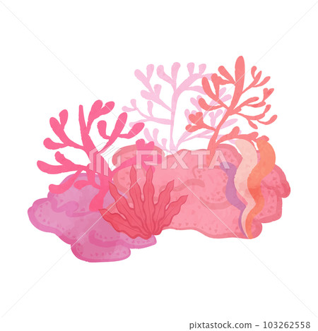 可愛的粉紅色珊瑚礁插圖 103262558
