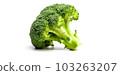 Broccoli inflorescences on a white background, a healthy cruciferous vegetable, generated AI 103263207