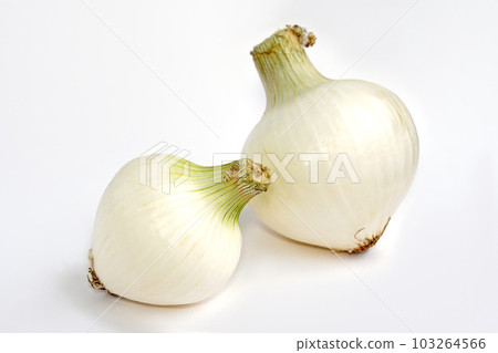 White onion, salad onion with less pungency and crunchy texture White onion, salad onion with less pungency and crunchy texture 103264566