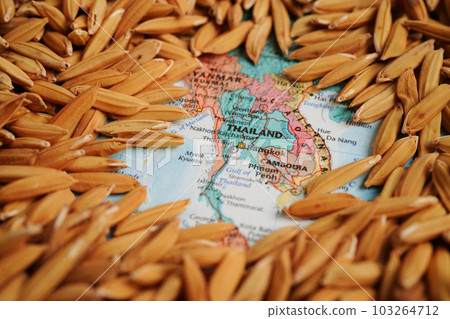 Bangkok, Thailand March 12, 2023 Thailand map with grain rice from agriculture farm. Law and justice court concept. 103264712