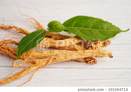 Ginseng roots and green leaf, healthy food. Ginseng roots and green leaf, healthy food. 103264718