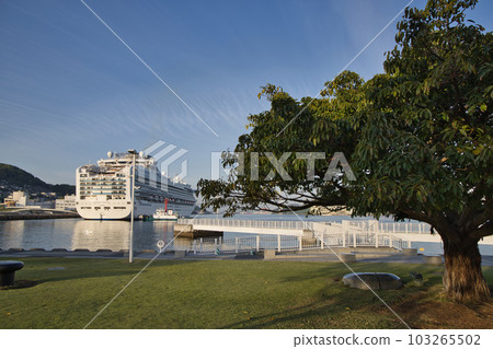 Diamond Princess docked at Matsugae, Nagasaki Port 103265502