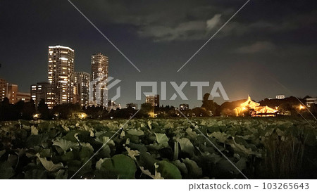 不忍池和高層公寓 103265643