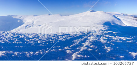Winter mountains landscape. Ukraine, Carpathian mountains, Dragobrat. 103265727