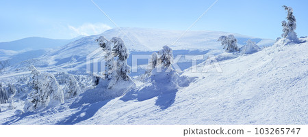 Carpathian mountains in winter. Winter landscape taken in mountains. 103265747