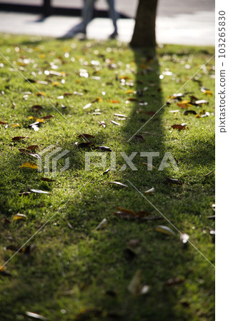 長崎水邊之森公園的風景 長崎水邊之森公園的風景 103265830