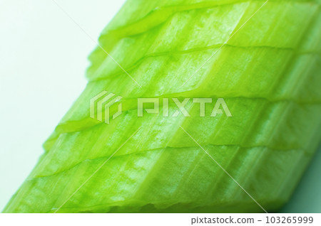 close-up pieces of green fresh plant sliced stacked and stem lies on white background close-up pieces of green fresh plant sliced stacked and stem lies on white background 103265999