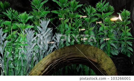 3D image of medaka in a tank 103266001