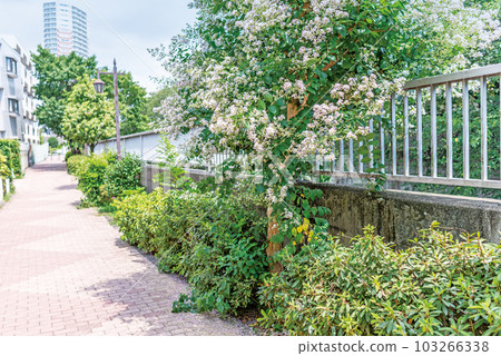 神田川四季路 103266338