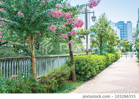 Kanda River Four Seasons Road 103266355