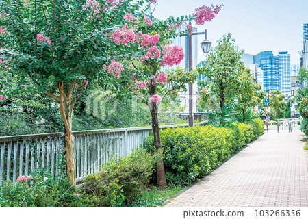 Kanda River Four Seasons Road 103266356