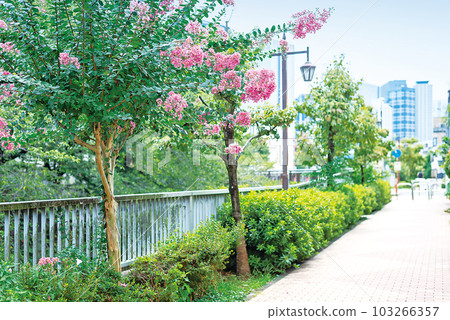 Kanda River Four Seasons Road 103266357