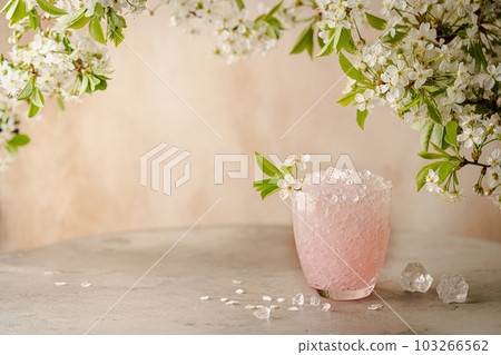 Summer refreshing drink. 103266562