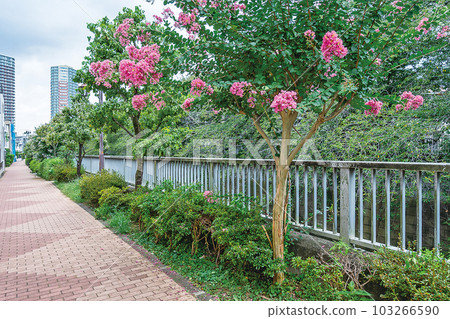 Kanda River Four Seasons Road Kanda River Four Seasons Road 103266590