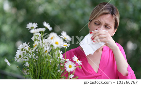 Young woman with hay fever blowing her nose in napkin near chamomile flowers 103266767