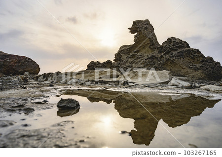 秋田哥斯拉搖滾 103267165