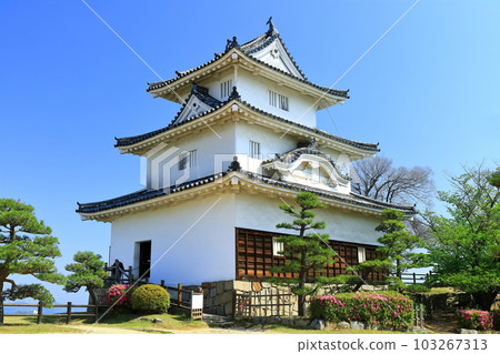 【香川縣】春天櫻花、杜鵑花盛開的丸龜城(現存天守閣和石牆) 【香川縣】春天櫻花、杜鵑花盛開的丸龜城(現存天守閣和石牆) 103267313