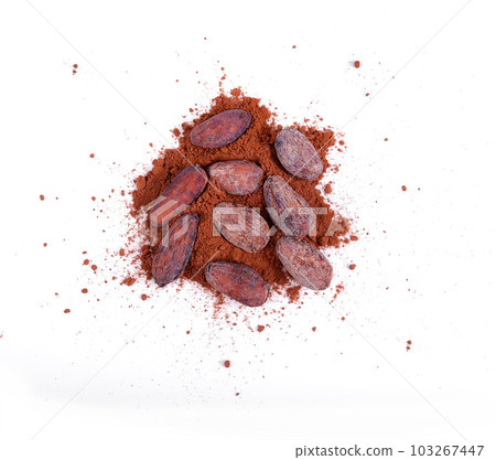 pile cocoa powder and beand isolated on white background. 103267447