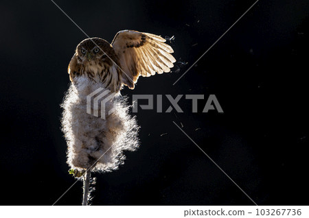 The best way to get there is to go this way. The best way to get there is to go this way. 103267736