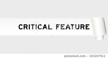 Ripped gray paper background that have word critical feature under torn part 103267912