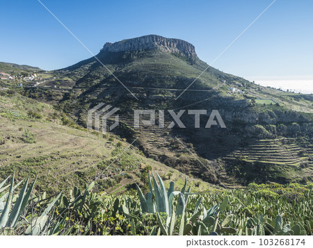 View on table mountain Fortaleza with surraunding villages Chipude and Pavon and Agave succulent plant leaves. Blue sky background. La Gomera, Canary Islands, Spain. View on table mountain Fortaleza with surraunding villages Chipude and Pavon and Agave succulent plant leaves. Blue sky background. La Gomera, Canary Islands, Spain. 103268174