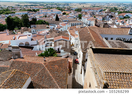 Cityscape of Evora with typical houses painted in white and ceramic tiled roofs Cityscape of Evora with typical houses painted in white and ceramic tiled roofs 103268299