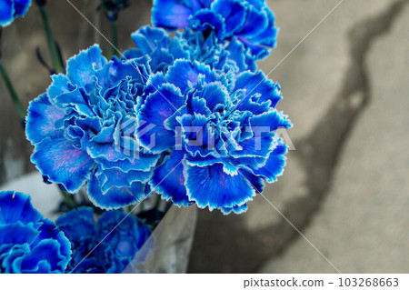 A bouquet of flowers from the flower market A bouquet of flowers from the flower market 103268663