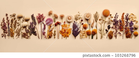 A banner featuring a collection of dried... - Stock Illustration ...