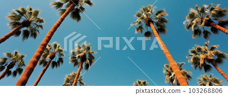 Palm trees against blue sky banner. Generative AI 103268806