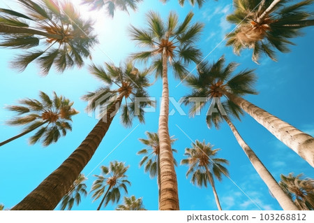 Palm trees against blue sky . Generative AI 103268812