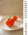 初夏番茄 103268887