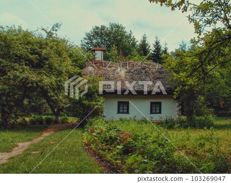 A well-preserved Ukrainian house from bygone times can be admired at the Museum of Folk Architecture and Everyday Life of the Middle Dnieper region. 103269047