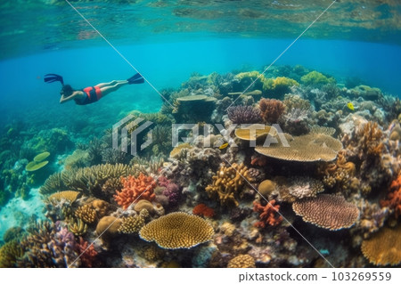 A lush natural reef teeming with sea life. Colorful tropical fish of every hue swimming by schools of parrotfish. Sea turtles gracefully gliding through the coral. Generative AI A lush natural reef teeming with sea life. Colorful tropical fish of every hue swimming by schools of parrotfish. Sea turtles gracefully gliding through the coral. Generative AI 103269559