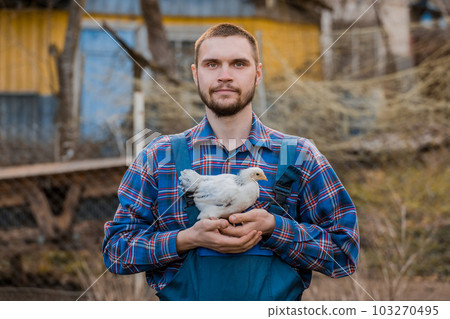 A satisfied man farmer of European Caucasian appearance, bearded, in a shirt and overalls, holds a dwarf white chicken in his hands against the background of the countryside outdoor A satisfied man farmer of European Caucasian appearance, bearded, in a shirt and overalls, holds a dwarf white chicken in his hands against the background of the countryside outdoor 103270495