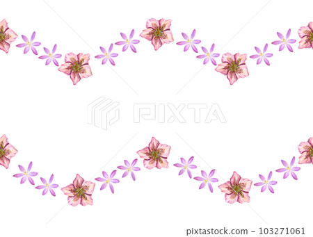 Floral seamless horizontal border with hellebores, crocuses. Watercolor illustration isolated on white background. For background, prints, wallpaper, fabric, textile, wrapping. 103271061