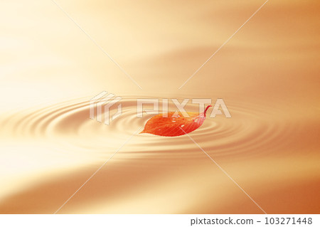 水面上的秋葉 水面上的秋葉 103271448