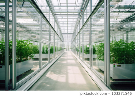 Modern Intelligent Glass Greenhouse for Agriculture. Modern Intelligent Glass Greenhouse for Agriculture. 103271546