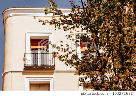 The beige exterior of an old house on a European street against blossoming tree branches. Mediterranean architecture on a European street in sunny day. Travel to Madrid, Spain. Vintage balcony, window The beige exterior of an old house on a European street against blossoming tree branches. Mediterranean architecture on a European street in sunny day. Travel to Madrid, Spain. Vintage balcony, window 103271688