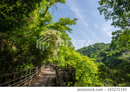 大阪府交野市新綠富民之森星田園地河藏之道森林鐵路式人行天橋 103272385