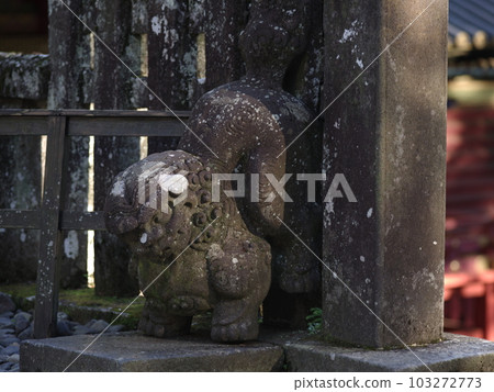 A corrupt lion dog 103272773