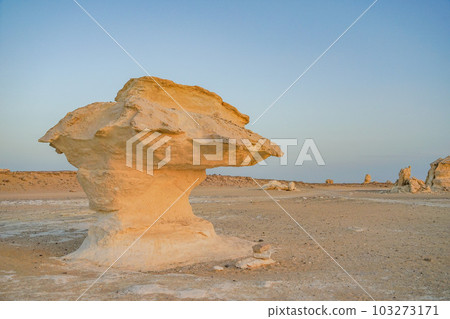 white desert in the evening white desert in the evening 103273171