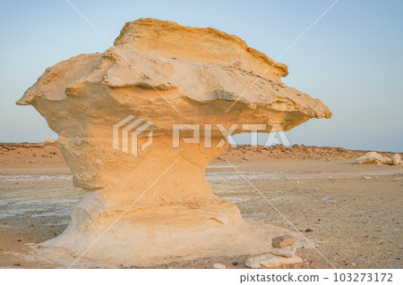 white desert in the evening white desert in the evening 103273172