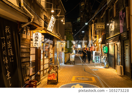 《東京》繁華的後巷酒吧區，京王中通商店街 103273228
